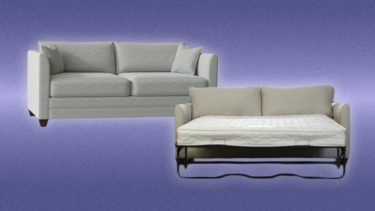 sleeper sofa